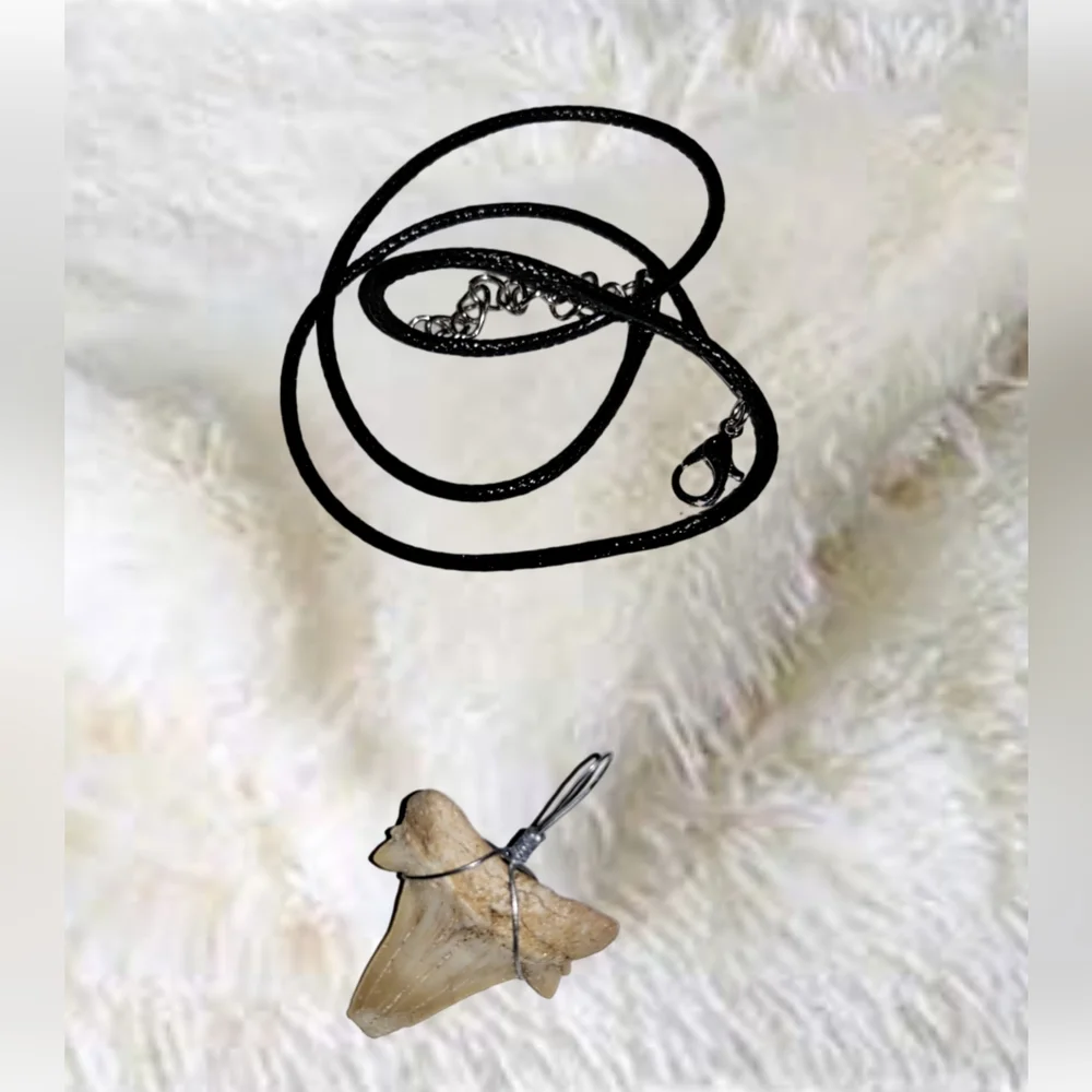 Fossilized Shark Tooth Pendant and Black Cord Leather Necklace
